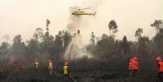 Dalam 2 Bulan, 1.880 Hektare Lahan Terbakar di Riau