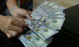 Kadin:`Pengusaha Diminta Lepas Dolar Imbauan Tepat, Asal...