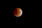 Waspadai Dampak Fenomena Supermoon