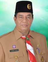 Bengkalis peringatan HUT Pramuka ke-54 tahun 2015
