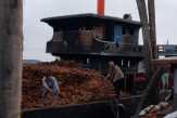 Kapal di Inhil Terbakar