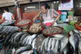 Impor Hewan Hidup dari China Dilarang, Kecuali Ikan