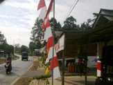 Camat Rambah Imbau Warga Pasang Bendera