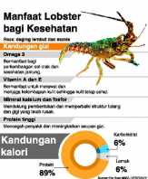 Kiara Soal Ekspor Lobster : Perhatikan Aspek Lain yang Esensial
