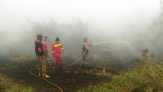 Lima Titik Hotspot di Pelalawan Riau, Semuanya di Teluk Meranti