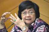 Menteri Siti: Kita Bisa Cabut atau Bekukan Izinnya