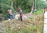 Satu Per Satu, Kampung Terang Benderang