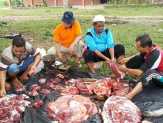 Pemko Pekanbaru Buka Pendaftaran Peserta Qurban