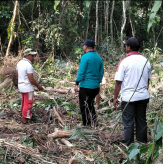 Rohil Akan Memiliki Hutan Kota