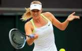 Sharapova Tundukkan Halep