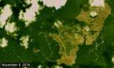APRIL mengakhiri sumber akasia dari deforester HCS