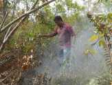 Lahan Terbakar Dekati 2.000 Hektar, Ribuan Warga Riau Mulai Terserang ISPA