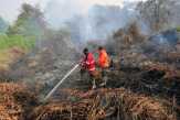 Dua Regu Pemadam Berjibaku Padamkan Kebakaran Lahan di Mandau