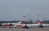 Penghentian 95 Rute Penerbangan Lion Air Diselidiki KPPU