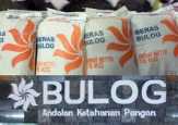 Bulog Kapassitas Ribuan Ton Segera Bangun Gudang di Meranti