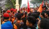 Massa PP Minta Perusahaan Pembakar Lahan Ditindak Tegas
