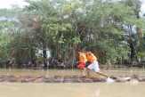 Ini Dia, Empat Tujuan Bokor Reggae Internasional