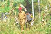 Terpantau 25 Titik Api di Rohil