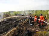 PT Tunggal Mitra Plantations Tunjukkan Komitmen dengan Padamkan Karlahut di Rokan Hilir