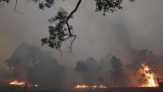 Pesawat Pemadam Api Kebakaran Hutan Australia Jatuh