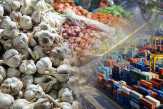 Impor Bawang Putih Atasi Gejolak Harga