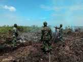 Wah, Selama Agustus, Sudah 309 Hektare Lahan Terbakar di Dumai