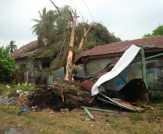 Angin Puting Beliung Terjang Kota Dumai. Atap Rumah Beterbangan