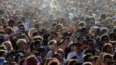 Woodstock 2019 Disebut Terkendala Biaya