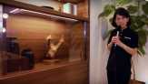 TV Masa Depan Panasonic: Tembus Pandang