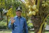 Program Bupati Wardan Tingkatkan Ekonomi Petani Kelapa Inhil