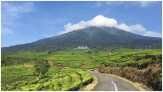 Harimau Berkeliaran, Gunung Dempo Ditutup