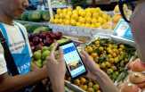 Pengguna Aplikasi Dompet Digital di Indonesia Naik