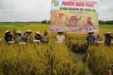 Petani Sungai Mandau Dapat Bansos dari Kementan RI