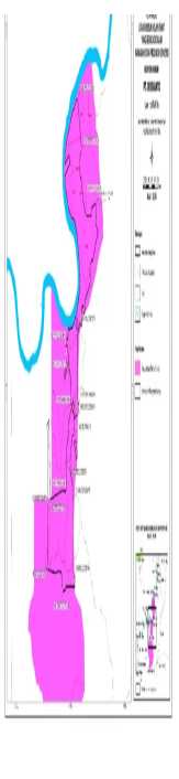 PETIR Desak Pemerintah Cabut Izin Kebun Sawit Ilegal di Hutan Konversi Tenayan Raya