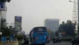 Dari Total 313 Unit, 123 Halte di Pekanbaru Rusak Berat