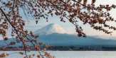 Alasan Jepang Jadi Tren di Kalangan Wisatawan Indonesia