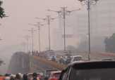 Pagi Ini Jarak Pandang di Pelalawan Cuma 300 Meter, Pekanbaru 800 Meter