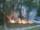 Diduga Sengaja Dibakar, Api Hanguskan Hutan Kawasan Bandara SSK II Pekanbaru