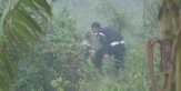 Terkait Kebakaran Hutan, 4 Perusahaan Kena Sanksi Kementerian LHK