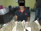 Edar Ganja, Warga Sumbar Ditangkap Aparat Polres Kuansing