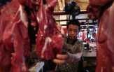 Harga Daging dan Telur Kompak Naik