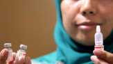 Fenomena Palsu, Politik dan Pilkada