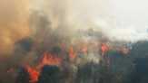'Soberanes Fire' Kian Meluas di Hutan California