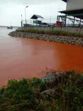 Perairan Dumai Tercemar Tumpahan CPO PT SDS