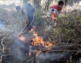 Puluhan Hektar Lahan dan Kebun Sawit di Serombou Indah, Rohul Terbakar