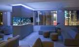 Arti  Energi Aquarium Dalam Feng Shui