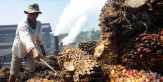 Langgar Hak Buruh, RSPO Cabut Keanggotaan Anak Usaha Indofood