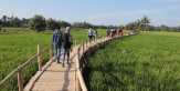 6 Destinasi Wisata Sawah yang Wajib Dikunjungi