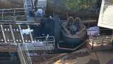 Wahana Arung Jeram di Dreamworld Australia Tewaskan 4 Orang, Begini Kejadiannya