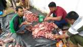 Disnaker Rohil Sumbang Satu Ekor Lembu Untuk Diqurban
